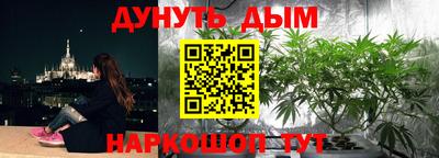 PSILOCYBIN Брянск