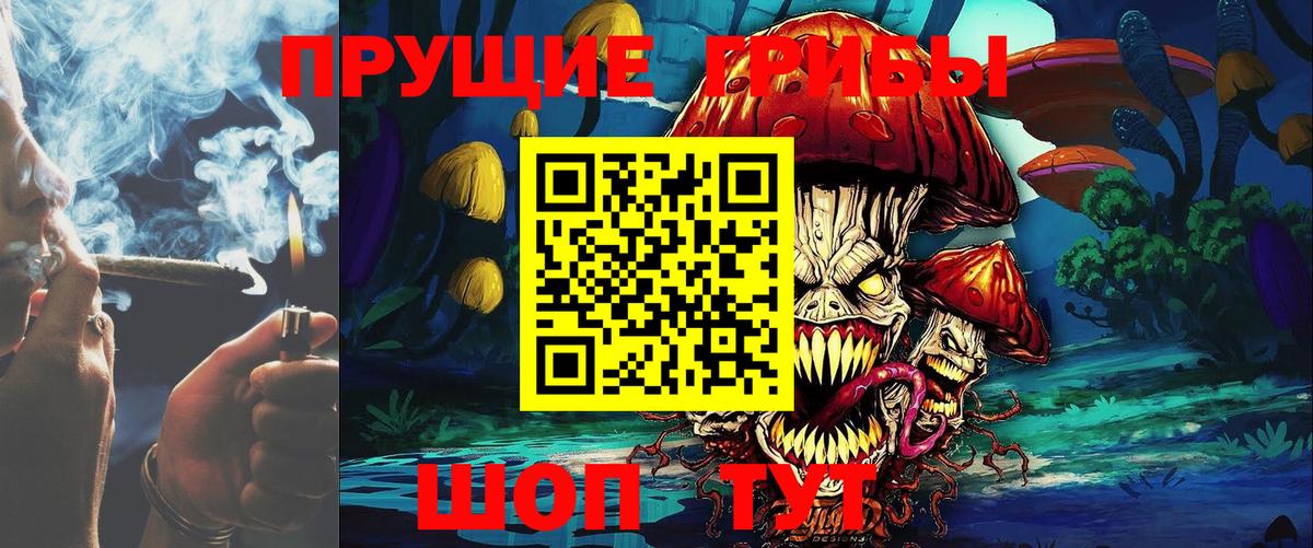 Псилоцибиновые грибы мицелий  Галлюциногенные грибы Psilocybine cubensis  Белово  где купить наркоту  Вход с VPN 